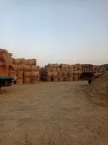 مواجهة السحابة السوداء.. «قش الأرز» بين القانون والاستثمار الأخضر 5 - جريدة الجمهورية WhatsApp Image 2026 01 23 at 8.40.13 PM 1 - جريدة الجمهورية