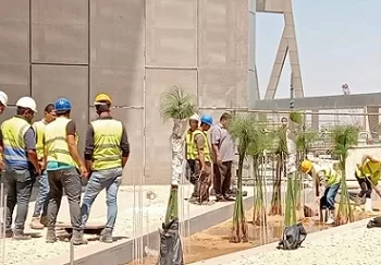 «بردي الشرقية» يزهر في قلب المتحف المصري الكبير ويجسّد رمز الكتابة الأولى بالتاريخ 4 - جريدة الجمهورية «بردي الشرقية» يزهر في قلب المتحف المصري الكبير ويجسّد رمز الكتابة الأولى بالتاريخ