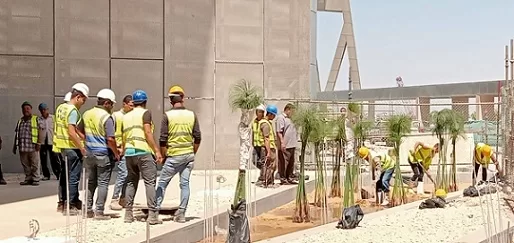 «بردي الشرقية» يزهر في قلب المتحف المصري الكبير ويجسّد رمز الكتابة الأولى بالتاريخ 1 - جريدة الجمهورية «بردي الشرقية» يزهر في قلب المتحف المصري الكبير ويجسّد رمز الكتابة الأولى بالتاريخ