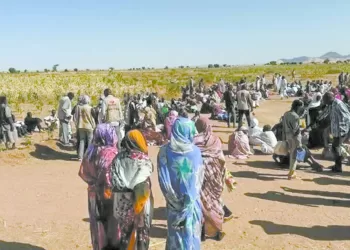 مصر تكثف المساعى للتهدئة.. الأزهر يدين جرائم «الدعم السريع» 4 - جريدة الجمهورية مصر تكثف المساعى للتهدئة.. الأزهر يدين جرائم «الدعم السريع»