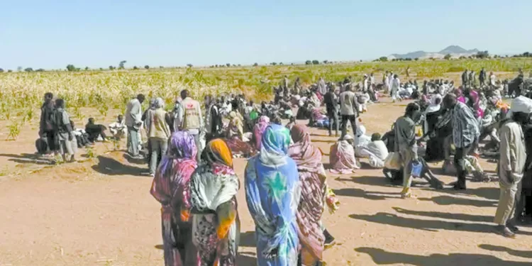 مصر تكثف المساعى للتهدئة.. الأزهر يدين جرائم «الدعم السريع» 1 - جريدة الجمهورية مصر تكثف المساعى للتهدئة.. الأزهر يدين جرائم «الدعم السريع»