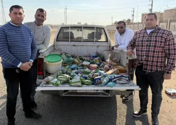 ضبط  1040 كجم رؤوس ماشية لعدد 132 رأس بتلو محظور ذبحها وتحرير 81 مخالفة تموينية بالفيوم