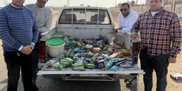 ضبط  1040 كجم رؤوس ماشية لعدد 132 رأس بتلو محظور ذبحها وتحرير 81 مخالفة تموينية بالفيوم