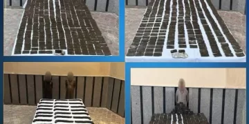 مداهمات أمنية لأوكار مافيا الموت.. سقطوا بعد مطاردات أمنية بشحنة مخدرات بـ75 مليون جنيه و52 بندقية 