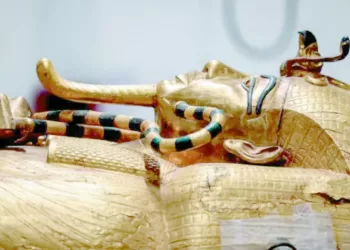 بث مباشر للافتتاح: جامعات ومتاحف دولية تحتفى بالمتحف المصرى الكبير