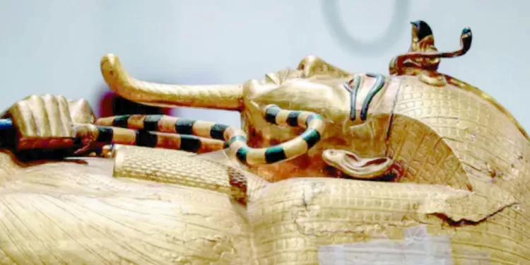 بث مباشر للافتتاح: جامعات ومتاحف دولية تحتفى بالمتحف المصرى الكبير