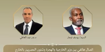 خلال مباحثات مع نظيره «النيجيري».. وزير الخارجية يشيد بتطور العلاقات الثنائية في كافة المجالات