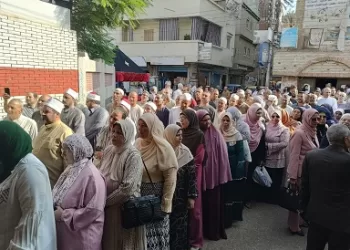  محافظ البحيرة: المشاركة دعم للتنمية وإقبال كثيف يترجم الرسالة