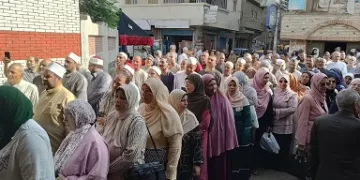  محافظ البحيرة: المشاركة دعم للتنمية وإقبال كثيف يترجم الرسالة