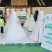 تحت إشراف التضامن الاجتماعي.. توزيع «1000» فستان زفاف على فتيات الأيتام 9 - جريدة الجمهورية تحت إشراف التضامن الاجتماعي.. توزيع «1000» فستان زفاف على فتيات الأيتام