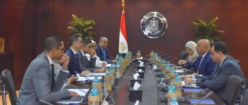 وزارة الاستثمار تطلق «منصة إلكترونية» موحدة لتعزيز نفاذ الصادرات المصرية للأسواق العالمية 3 - جريدة الجمهورية 3 132 - جريدة الجمهورية