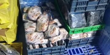 ضبط 8.3 طن دواجن وأسماك مجمدة منتهية الصلاحية بالشرقية