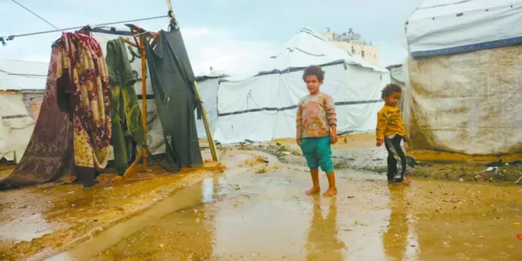 سيول المعاناة..