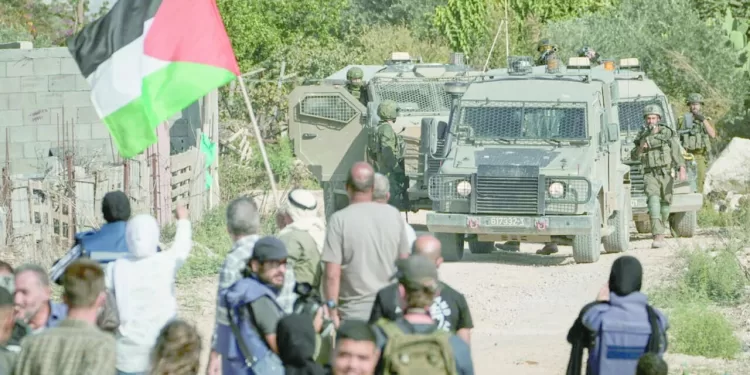 إسرائيل تحرق «أيادى السلام»