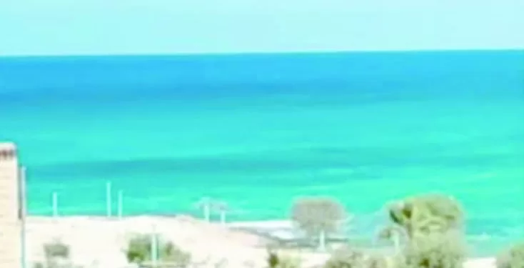 الشراكة الكبرى: مدينة «مصرية ــ قطرية» عالمية باستثمارات ٩٢ مليار دولار بـ«علم الروم» فى مطروح 1 - جريدة الجمهورية الشراكة الكبرى: مدينة «مصرية ــ قطرية» عالمية باستثمارات ٩٢ مليار دولار بـ«علم الروم» فى مطروح