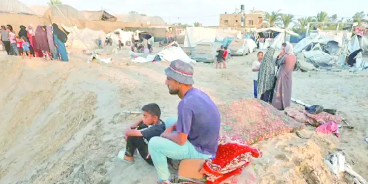 «سارة عمرو» تحقق ذهبية العالم لسلاح الشيش