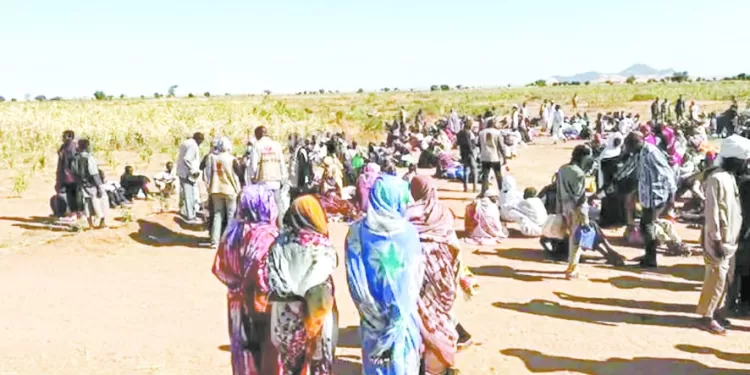 «سارة عمرو» تحقق ذهبية العالم لسلاح الشيش