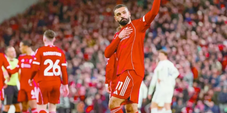 «صلاح الحديد».. عاد من جديد 1 - جريدة الجمهورية خليفة «فيريرا» المدرب المحلى الأقرب فى ظل الأزمة المالية