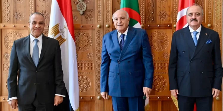 رسالة مصر من الجزائر: لا حل في ليبيا إلا بخروج المرتزقة وتوحيد المؤسسات 1 - جريدة الجمهورية رسالة مصر من الجزائر: لا حل في ليبيا إلا بخروج المرتزقة وتوحيد المؤسسات