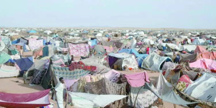 مسئول أمريكى: نسعى للتوصل الى لحل سلمى بـ «السودان» 1 - جريدة الجمهورية السوبر لـ«السوبر» الأهلى والزمالك قمة جماهيرية فى الأراضى الإماراتية