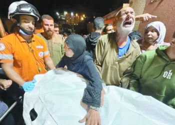 7 أرقام جديدة لـ «النسر الأحمر»