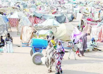 7 أرقام جديدة لـ «النسر الأحمر»