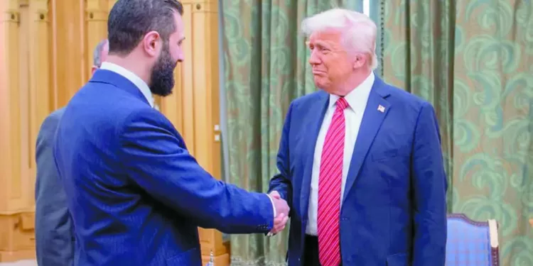 13 ميدالية حتى الآن