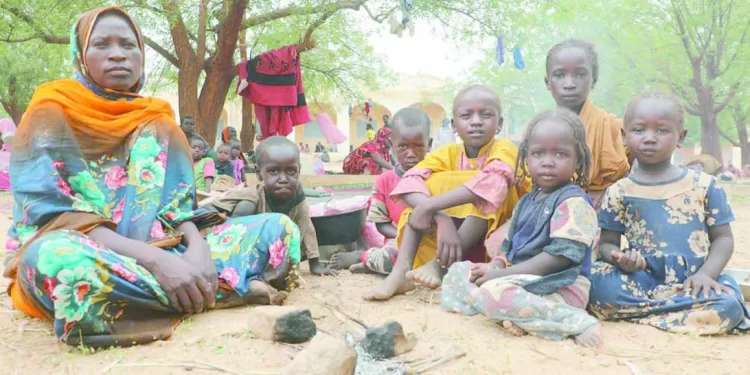 13 ميدالية حتى الآن