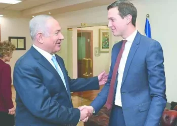 13 ميدالية حتى الآن