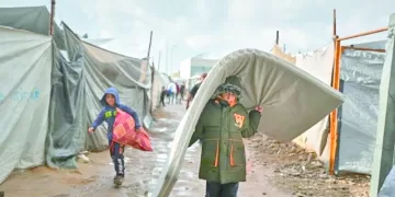 صابر و«بوبو».. مقابل فيصل