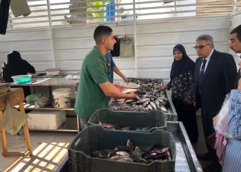 «مرزوق»:الجولات جزء من استراتيجية مستدامة للمتابعة الميدانية اليومية المباشرة 3 - جريدة الجمهورية «مرزوق»:الجولات جزء من استراتيجية مستدامة للمتابعة الميدانية اليومية المباشرة