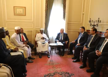 «عاشور » يبحث مع نظيره التشادي تعزيز التعاون بين البلدين