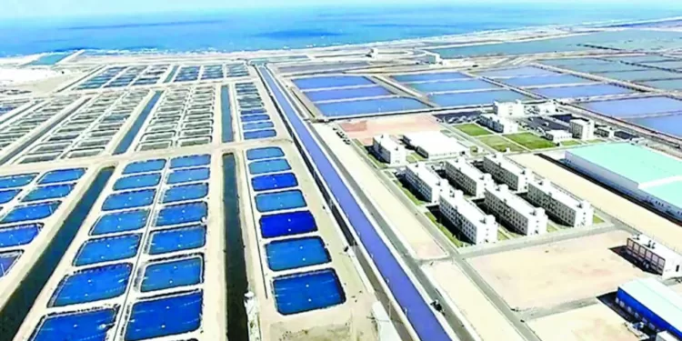 إنقاذ مبنى البنك العثمانى بـ «المنشية» من حريق بعد التهام النيران أكشاك بيع الاحذية بجواره