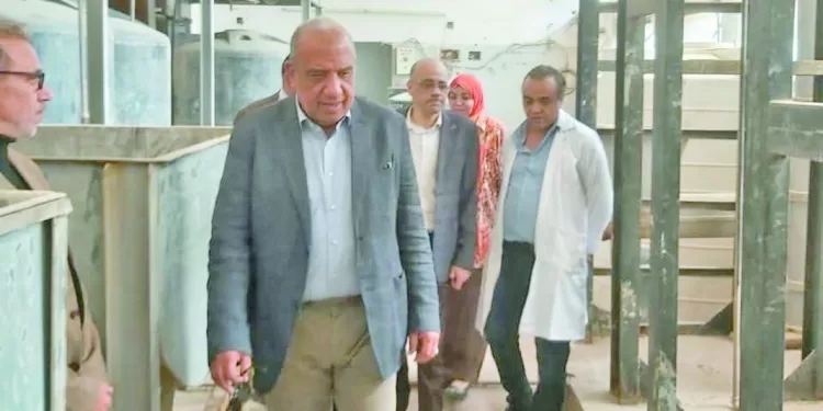 الزمالك يستضيف زيسكو الزامبى  فى أولى مباريات الكونفدرالية