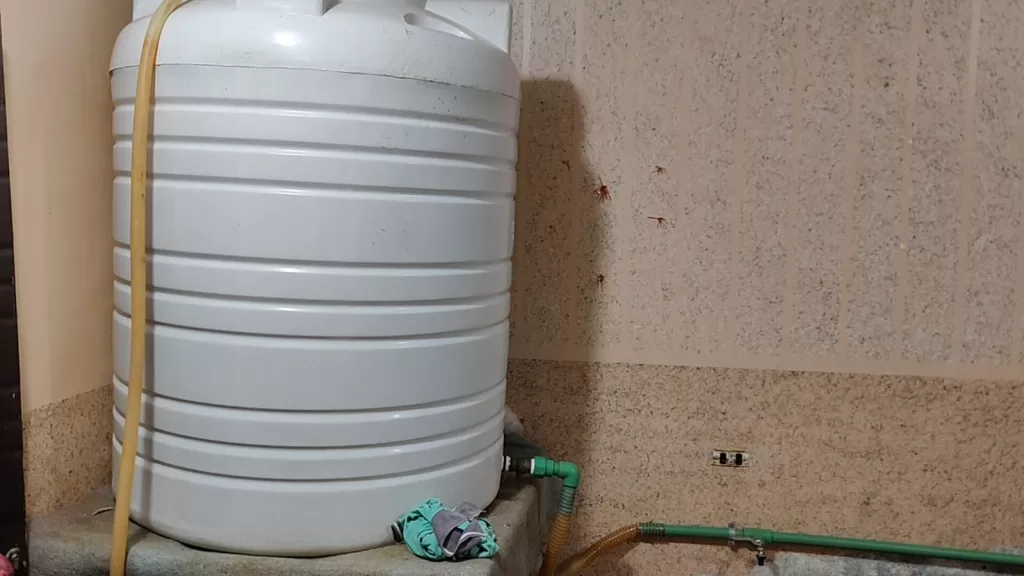 مباحث التموين تضبط مصنعًا غير مرخص للمشروبات الصناعية في المنوفية 6 - جريدة الجمهورية IMG 20251123 WA0398 - جريدة الجمهورية