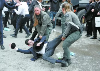 الراحة مرفوضة بيراميدز جاهز لـ «الذئاب»