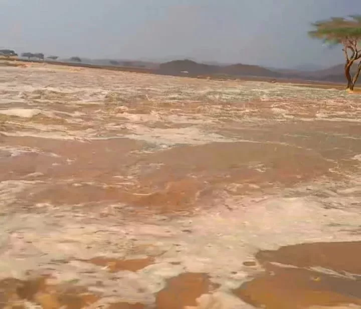أمطار غزيرة وسيول تضرب «البحر الأحمر ».. و«السدود» تنجح في التعامل معها 2 - جريدة الجمهورية IMG 20251125 WA0000 - جريدة الجمهورية