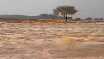 أمطار غزيرة وسيول تضرب «البحر الأحمر ».. و«السدود» تنجح في التعامل معها 3 - جريدة الجمهورية أمطار غزيرة وسيول تضرب «البحر الأحمر ».. و«السدود» تنجح في التعامل معها