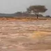أمطار غزيرة وسيول تضرب «البحر الأحمر ».. و«السدود» تنجح في التعامل معها 6 - جريدة الجمهورية أمطار غزيرة وسيول تضرب «البحر الأحمر ».. و«السدود» تنجح في التعامل معها