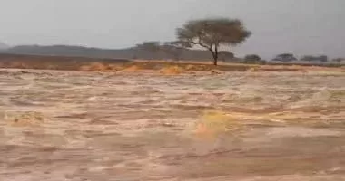 أمطار غزيرة وسيول تضرب «البحر الأحمر ».. و«السدود» تنجح في التعامل معها 1 - جريدة الجمهورية أمطار غزيرة وسيول تضرب «البحر الأحمر ».. و«السدود» تنجح في التعامل معها