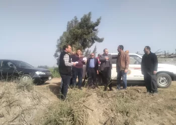 لجنة بالدقهلية لاستغلال  الأراضي الغير مستغلة في المشروعات الاستثمارية