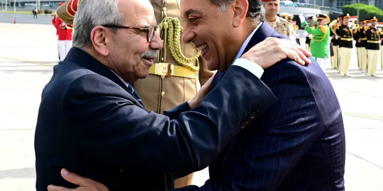 رئيس الوزراء يستقبل نظيره اللبناني بمطار القاهرة الدولي