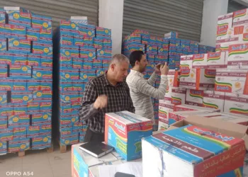 ضبط مخالفات كبرى بقطاع المواد البترولية والأسواق والمخابز بالدقهلية