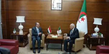 وزير الخارجية: مصر والجزائر شريكان في دعم استقرار ليبيا