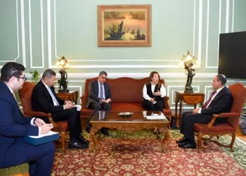 مصر تسعى لاستضافة مركز إقليمي لمكافحة الجريمة السيبرانية في إفريقيا