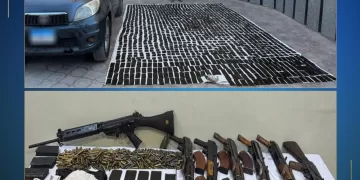 بحضور الزملوط: مفتي الجمهورية يغرس نخلة في حديقة 30 يونيو بالخارجة