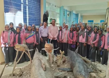 المعهد القومي لعلوم البحار والمصايد يستقبل وفدًا طلابيًا لتعزيز الوعي بالبيئة البحرية 2 - جريدة الجمهورية وزير الأوقاف يؤكد: المشاركة في الانتخابات تجديد للعهد والمواطنة.. وموفدو الوزارة بالخارج يدلون بأصواتهم