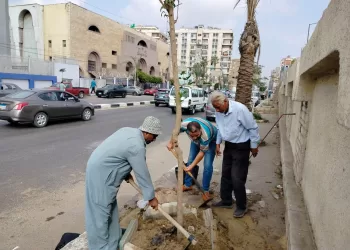 استمرار مبادرة «100 مليون شجرة» بمدن الشرقية 3 - جريدة الجمهورية استمرار مبادرة «100 مليون شجرة» بمدن الشرقية
