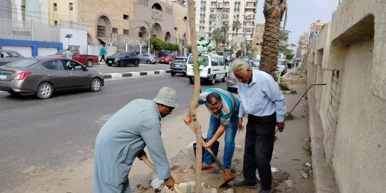 استمرار مبادرة «100 مليون شجرة» بمدن الشرقية