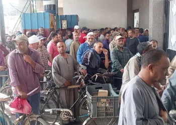 نقابة الصناعات الغذائية: العمال في مقدمة الصفوف لدعم الدولة بالانتخابات